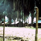 "Quan Loi Village March 68 - ABtry 6/27th Arty"